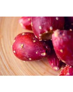 PRICKLYPEA_1.jpeg